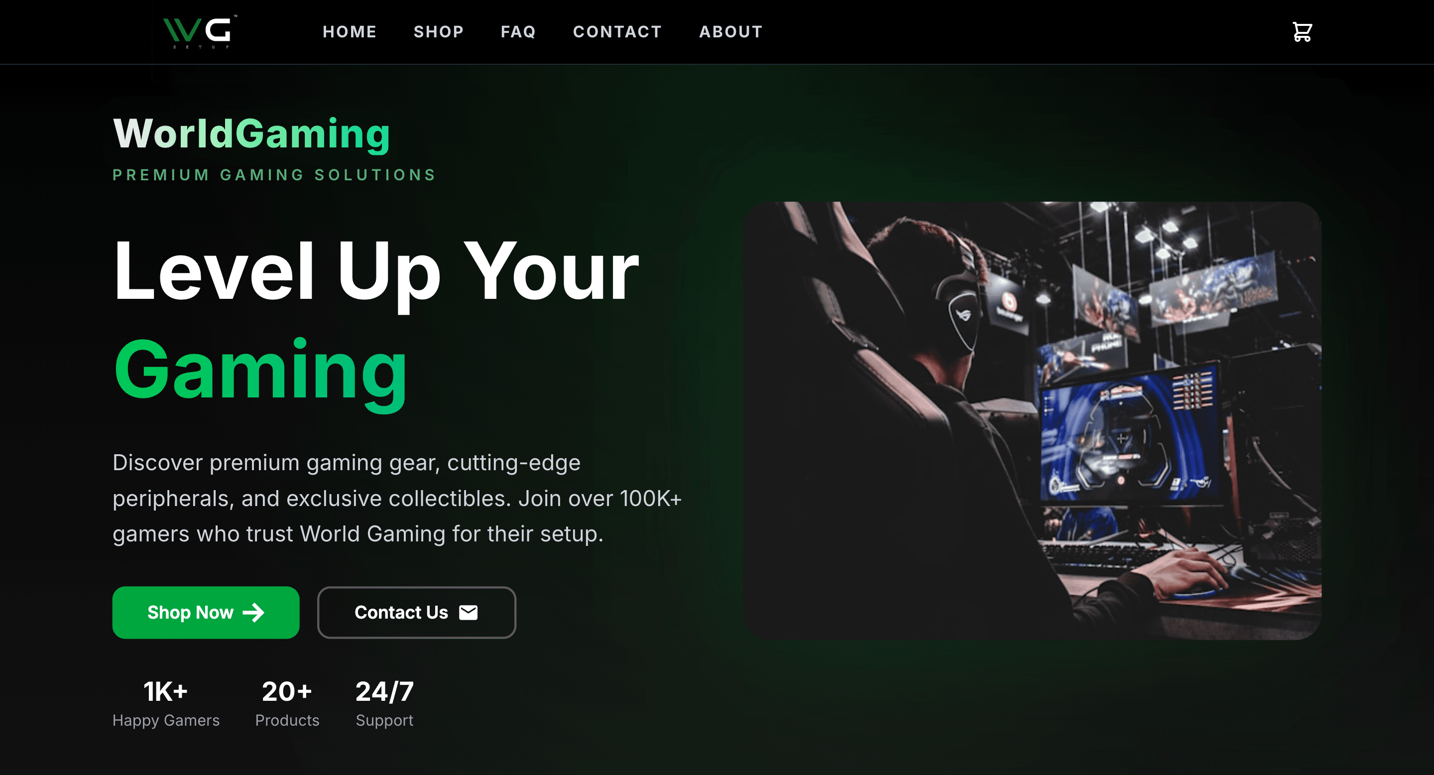 World of Gaming Store